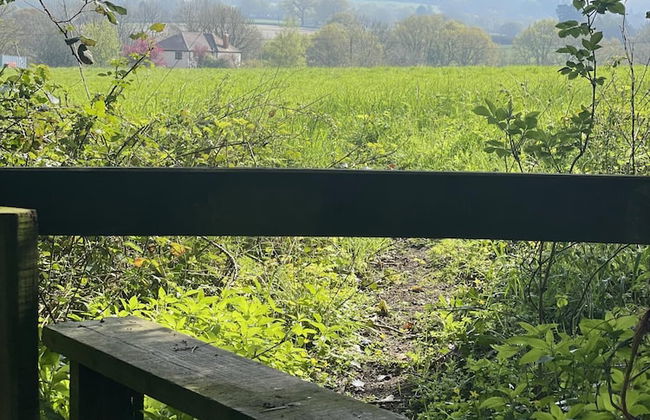 Beautiful 2bed Cottage in Knowle St Giles nr Chard - Foto 16