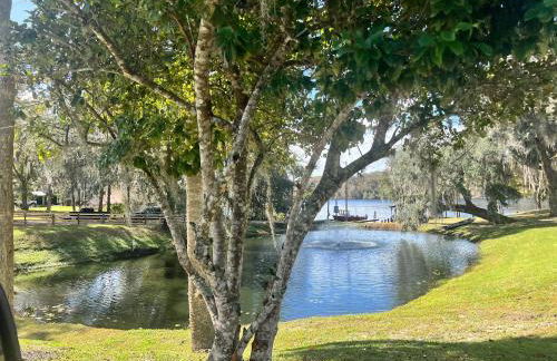 St Johns River Cabin - Foto 15