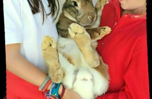 Cosy house in Estepa with mountain view - Photo 29