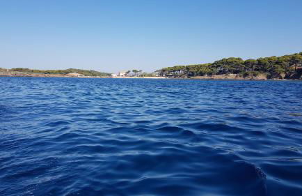 Studio avec rez de jardin - Foto 18