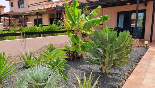 Casa Azul - Foto 5, Garden, Garden view