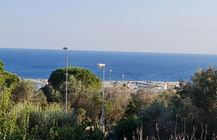 Casa Vacanza GLI ULIVI - Foto 2