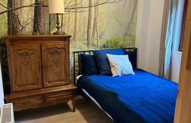 BESKIDIUM - uroczy dom Brenna - Foto 21