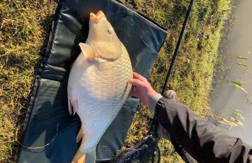 Snug & Secluded Lakeside Shepherds Hut 'Carp' - Foto 30