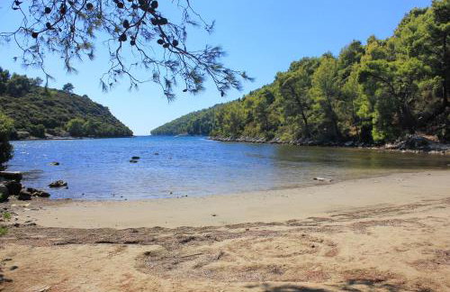 Apartments by the sea Brna, Korcula - 7553 - Foto 27