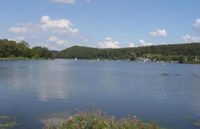 Ferienwohnung mit Sauna in Lothe - Foto 33