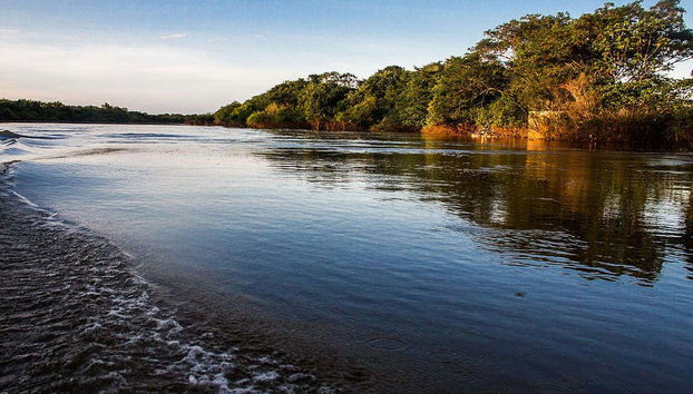 Durante el recorrido en barco
