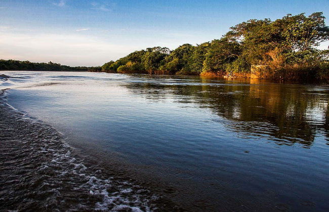 Isla del Bananal y Parque del Cantão en 3 días - Foto 4