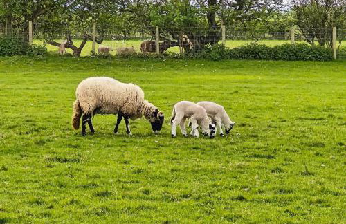 2 Bed in Penrith oc-g31989 - Foto 25