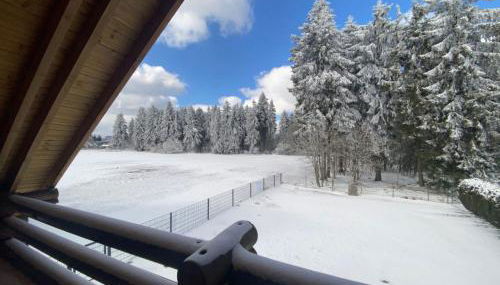 Holiday Home am Rennsteig by Interhome - Foto 2