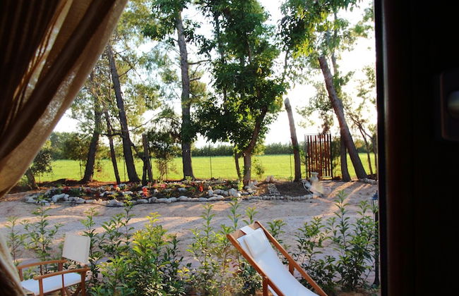 Agriturimo Essentia Dimora Rurale - Foto 20