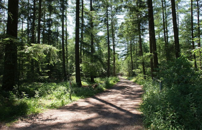 Cottage in the Heart of the Ardennes - Photo 66