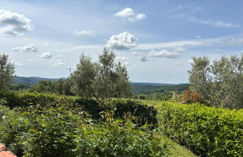 Monolocale La Mimosa - Foto 7