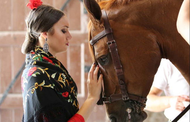 Spettacolo equestre alle Caballerizas Reales - Foto 8