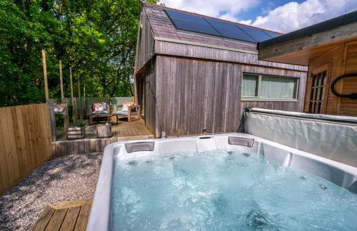 Mint Lodge 1BR with Hot Tub near Black Mountain - Foto 8
