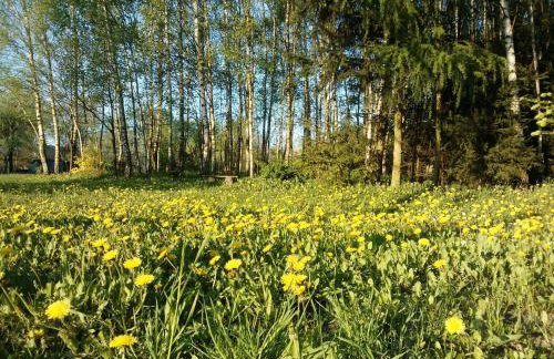 Apartament Leśny Taras z KLIMATYZACJĄ & Garaż podziemny w cenie-728-828-835- Targi Kielce - Foto 61