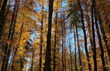 Apartment Okami - Foto 21