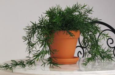 Casa del Sacramento - CASITA CON ENCANTO - Foto 17