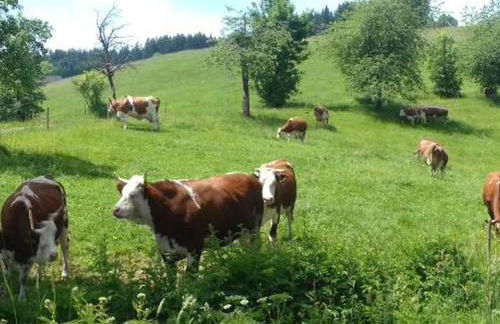 Biobetrieb Lippenhof - Foto 13