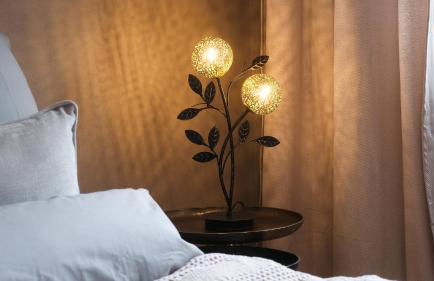 Altstadt Apartment in Torgau mit Balkon und Kunstgarten - Foto 6