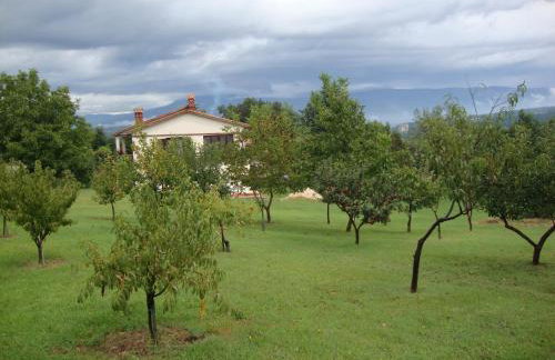 Apartman ELSA - Foto 19