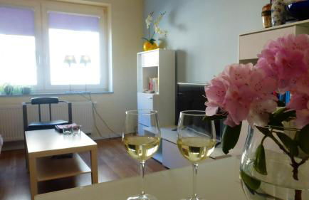 Kleines Studio Albatros - Photo 1