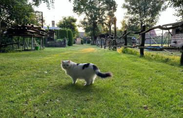 Apartments im Spreewald - Foto 17