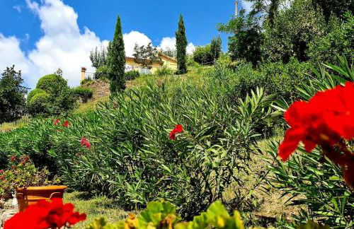 Provence villa with large pool and amazing view - Foto 17