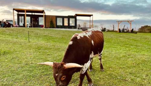 ‘Scenic Escapes’ Romantic Pine Grove Getaway! - Foto 1