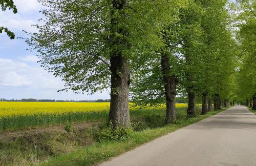 Stara Karczma Sypitki - Foto 28