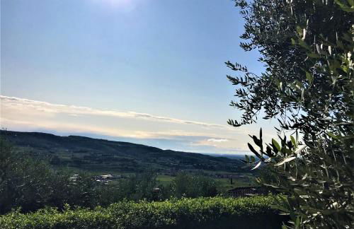 Valpolicella Hills - Foto 9