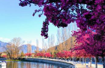 Casa Betty - Photo 41