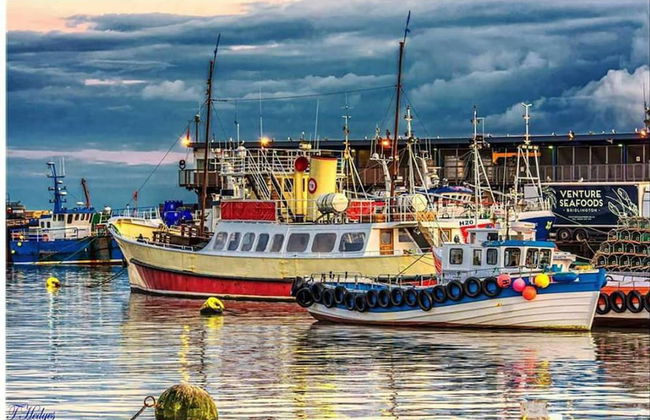 1 Bed Studio Sleeps 4 - Seaside, Dog Friendly - Photo 22