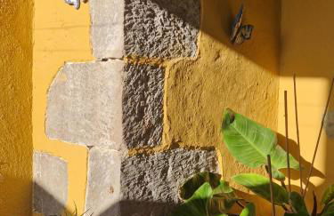 La Escuelita - Foto 25