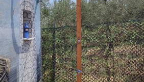 Sunshine Apartments - Foto 3, Garden