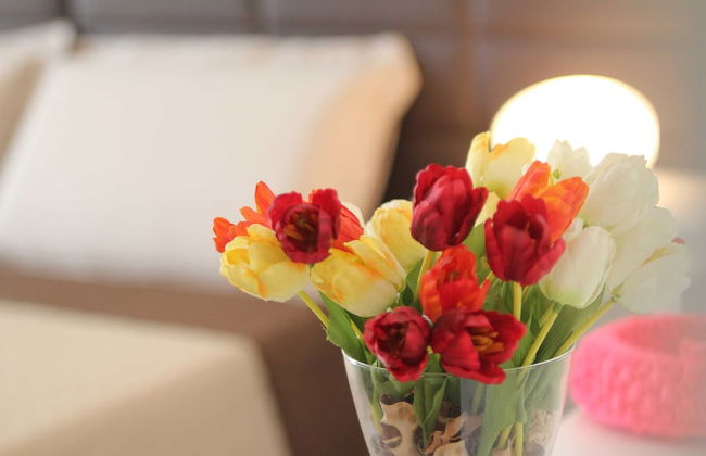 DomusApuliae Holidays Home - Photo 2