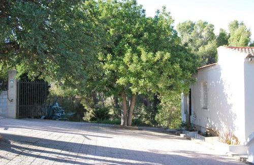 La Casa del bosque - Photo 43