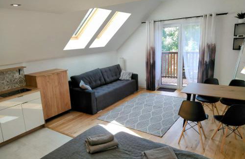 nowe Apartamenty górskie krajobrazy z widokiem na Śnieżnik - Willa Sowia - Foto 22