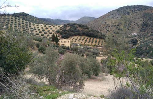 Casa Rural Cortijos San Jose - Foto 27