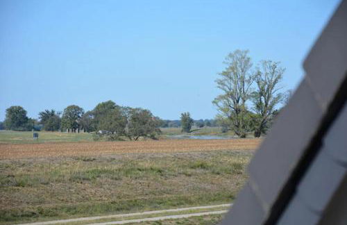 Ruhiges, sehr schönes Haus/Grundstück in Elbnähe. - Foto 10