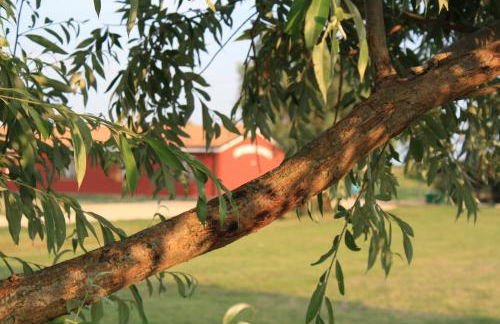 Agriturismo Ca' Pisani - Foto 5