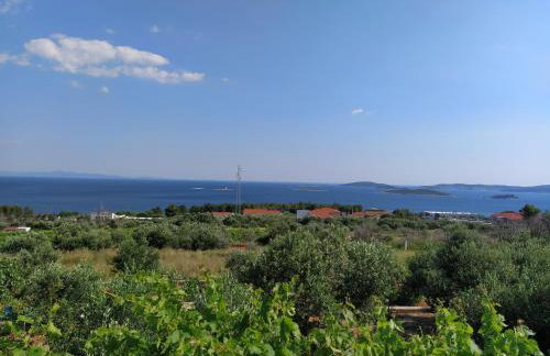 Apartman A&M - Photo 6