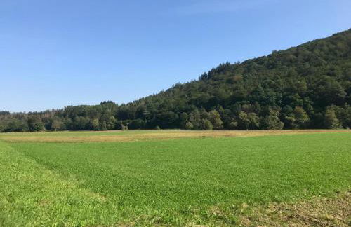 Ebenerdige Ferienwohnung im Luftkurort Dodenau - Foto 27