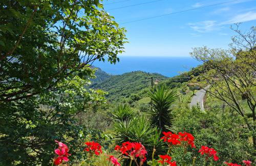 Cinque Terre & Portofino Lodge-Dependance Bracco - Foto 31