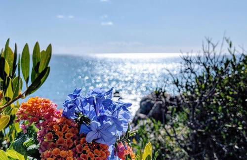 Ferienzimmer Ginepro am Meer - Foto 12