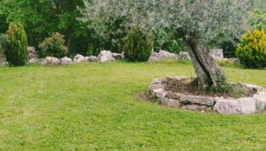 Residence San Martino Appartamento mini - Foto 2, Garden, Garden view