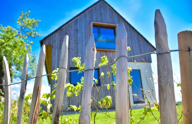 Vineyard Eco House Vukan - Photo 19