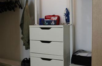 i tulipani - Foto 77