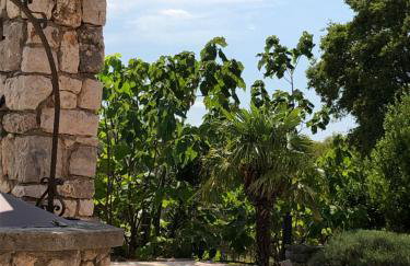 Villa Garica - Foto 30