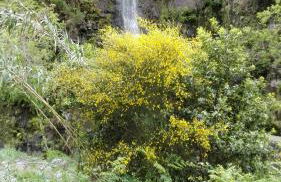 Appartamento Villa - Foto 37